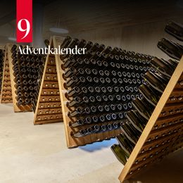 © Weingut Bründlmayer