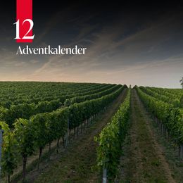 © Weingut Norbert Greil