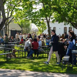 Im Garten des Bio-Landguts Esterhazy