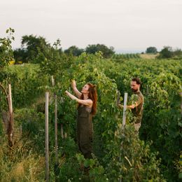 © Gut Oggau Tscheppe GmbH