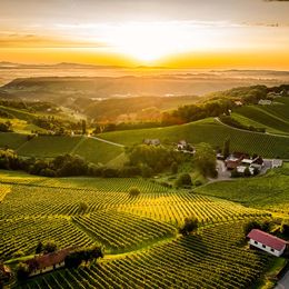 Ried Obegg in der Südsteiermark