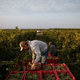 Weingut Schödl Family