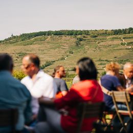 Tour de Vin an der Donau