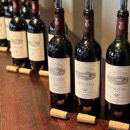 © Gault&Millau / Bernhard Degen Ornellaia Vertikale mit 2023 beginnend