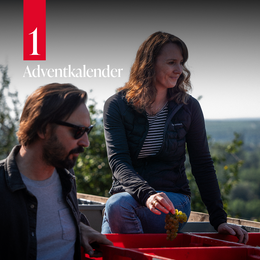 Alwin und Stefanie Jurtschitsch