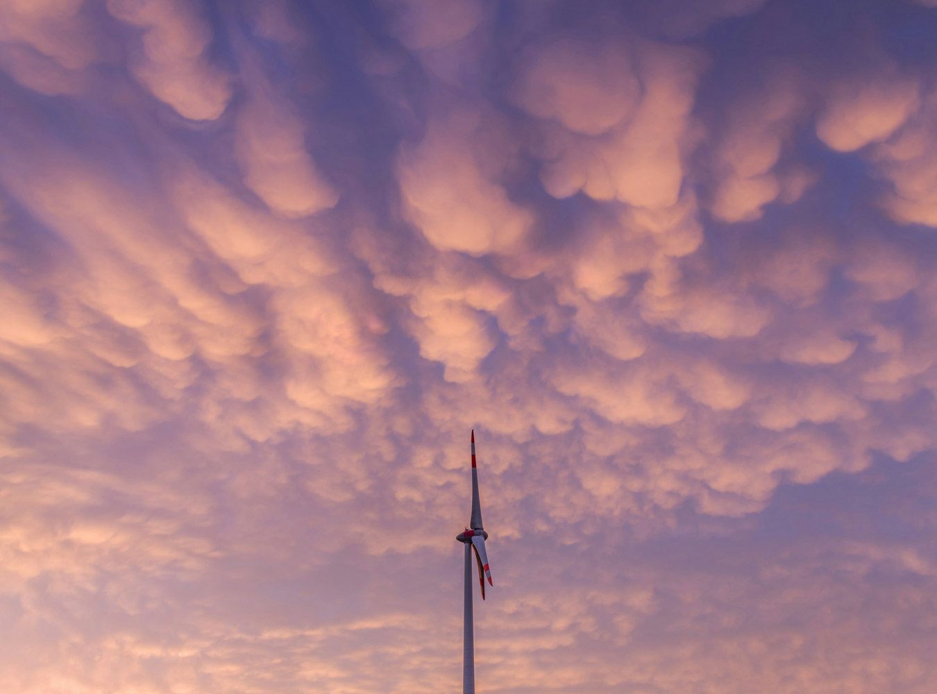 Betriebe mit besonderer Energieeffizienz