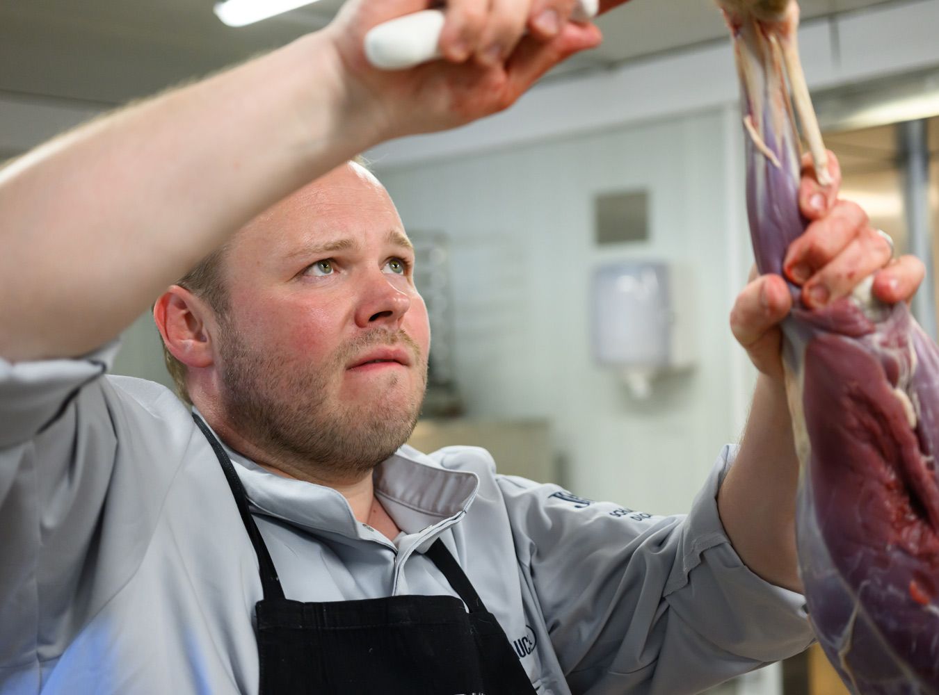 4-Hauben-Koch Richard Rauch