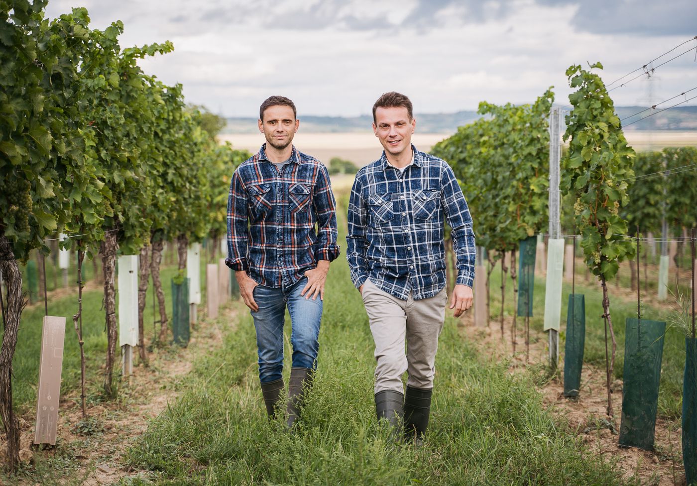 Weingut Dr. Wunderer