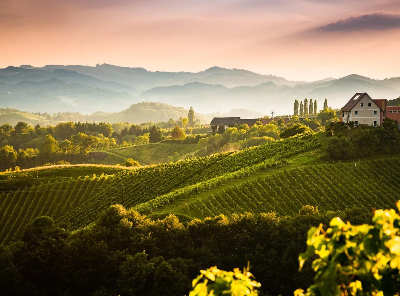 © Shutterstock Viele Tipps beziehen sich auf die Südsteiermark