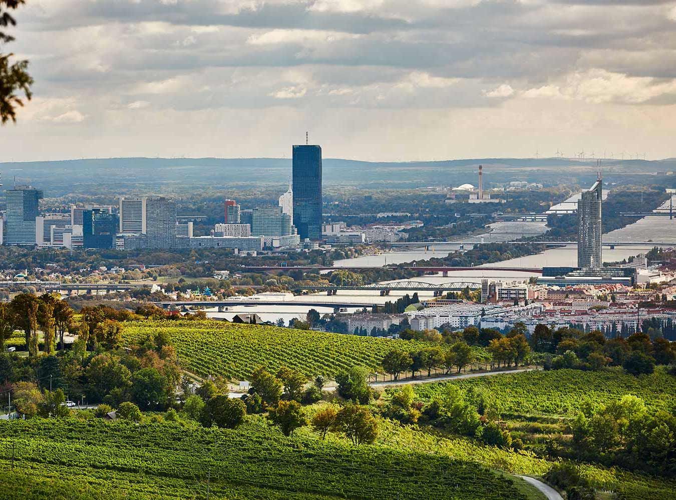 Blick vom Nussberg zur Donau (Symbolfoto)