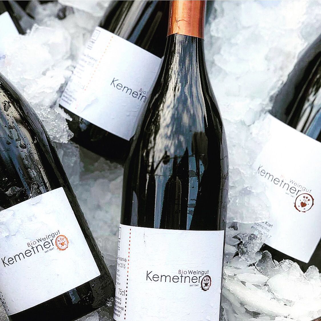 Bio-Weingut Kemetner null