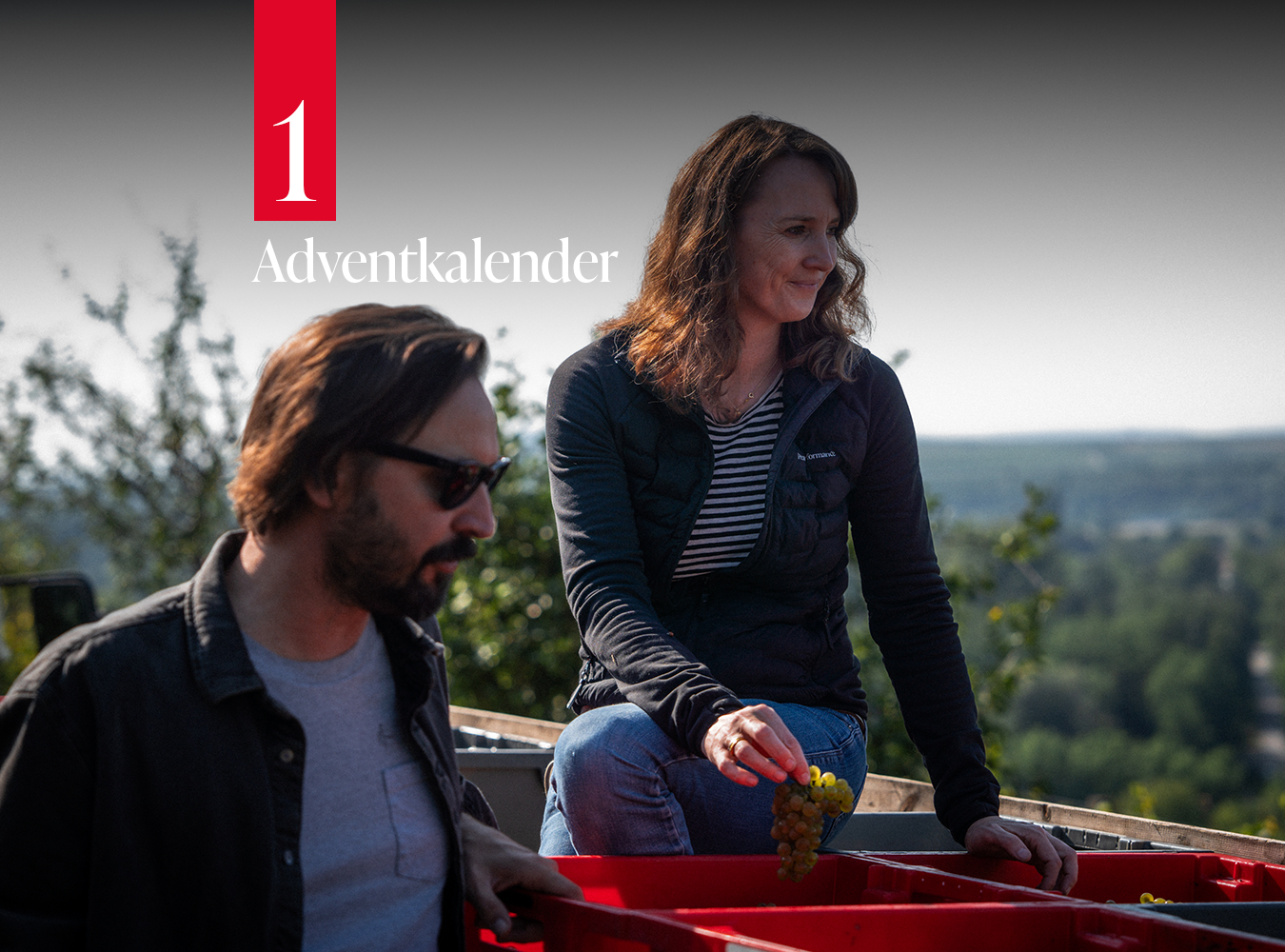 Weingut Jurtschitsch Alwin und Stefanie Jurtschitsch