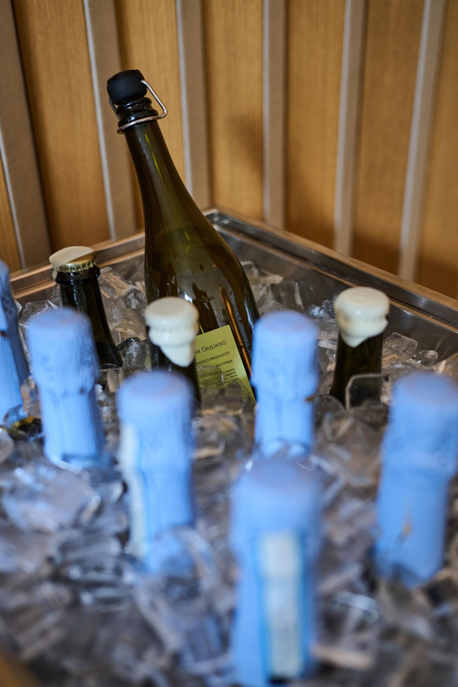 © Philipphorak, PANARUM Präsentation PANARUM