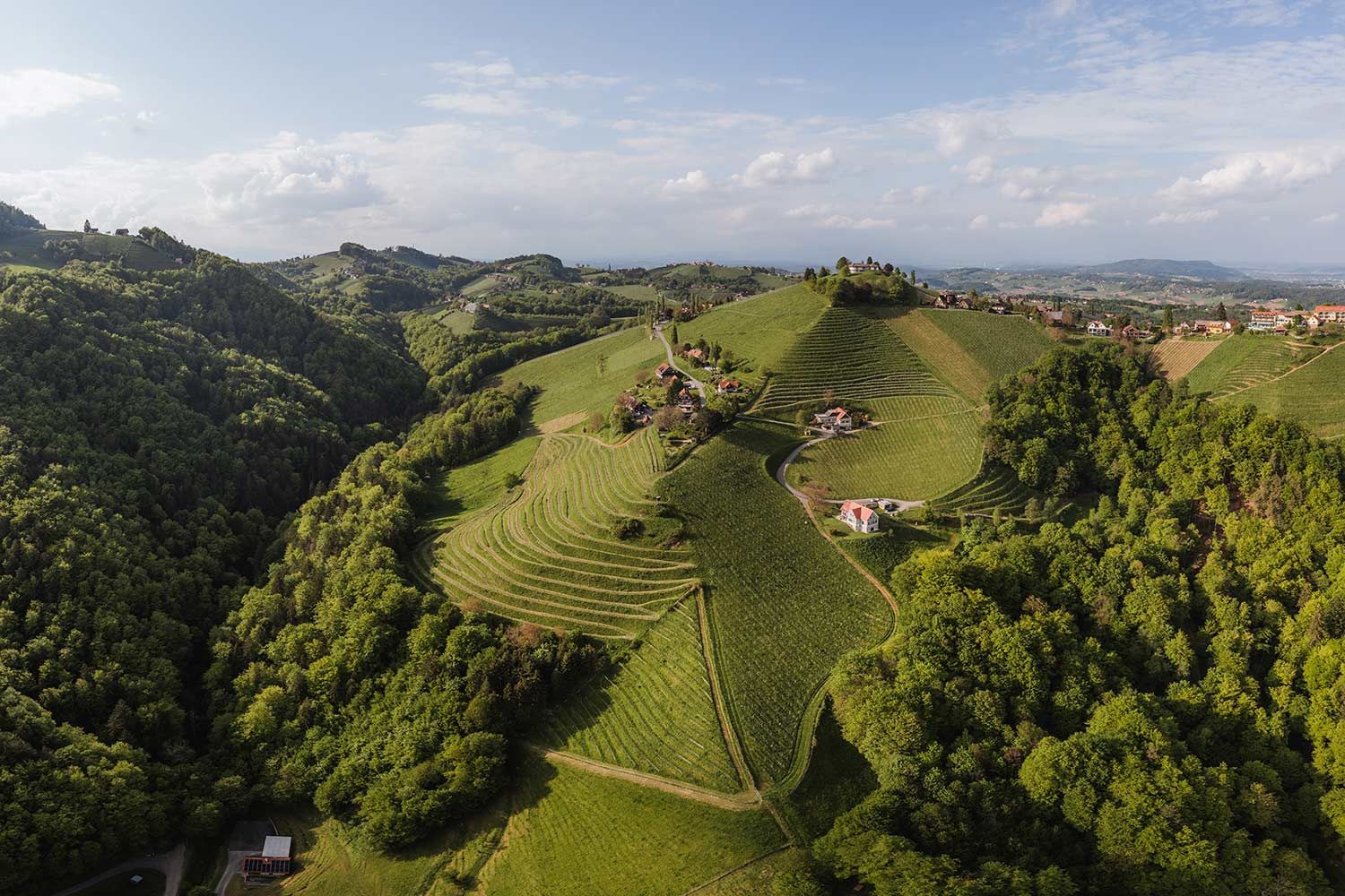 Ried Gaisriegl bei Kitzeck