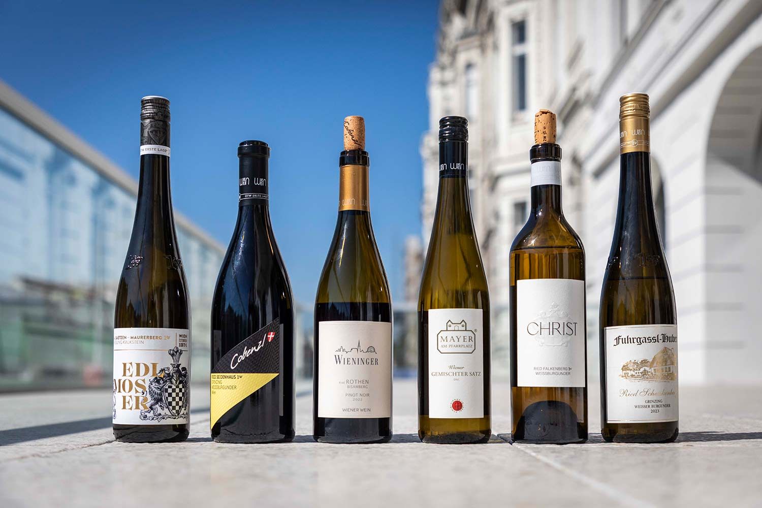 Vinophiles Best Of