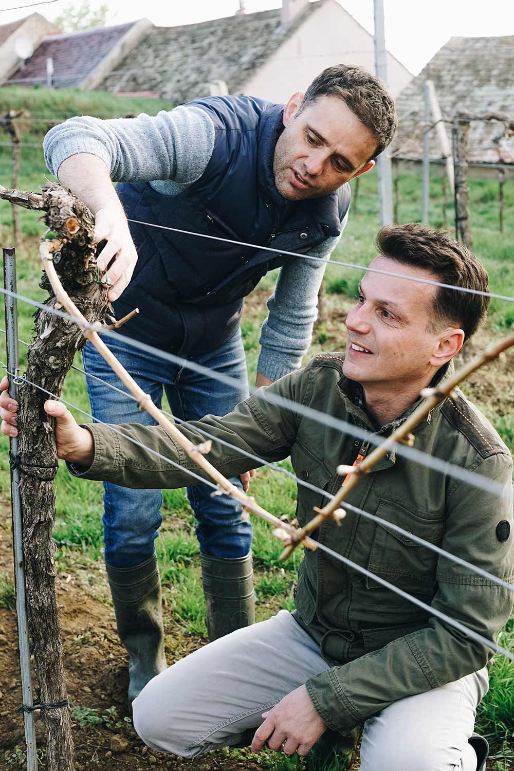 Weingut Dr. Wunderer null