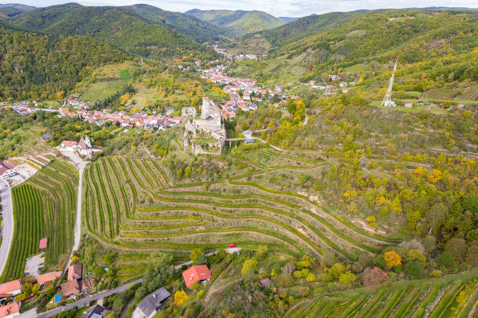 Weingut Familie Proidl null
