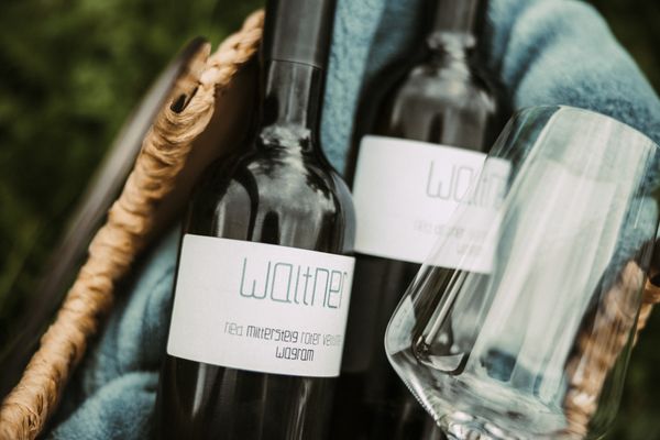 Weingut Waltner null