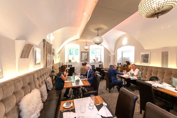 Kliemstein Vino Vitis