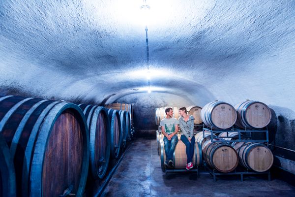 Paul Szimák / Weingut Wagentristl