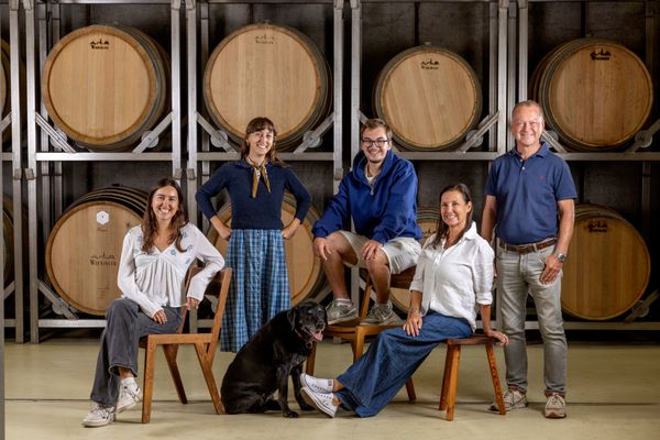Weingut Wieninger / Monika Löff