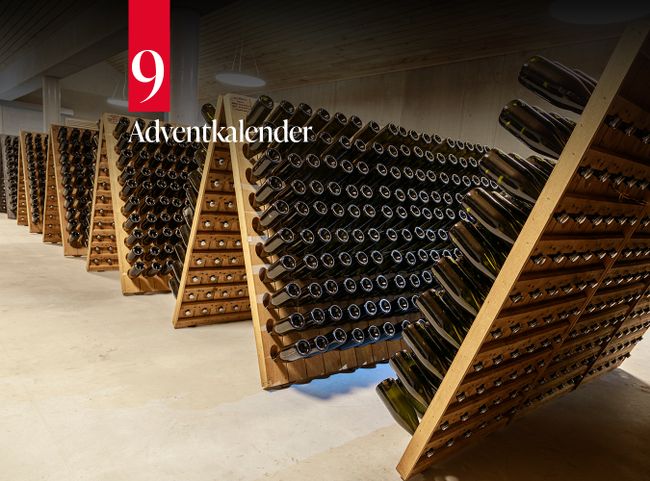 © Weingut Bründlmayer