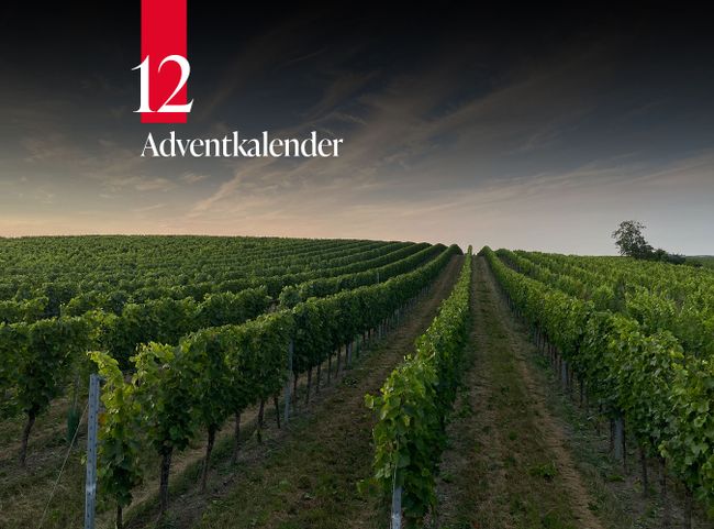 © Weingut Norbert Greil