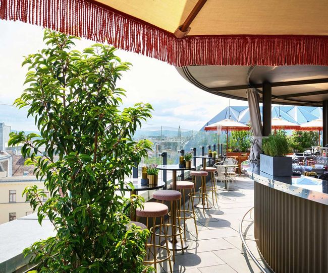 © Oliver Jiszda Wein genießen mit Ausblick über Wien