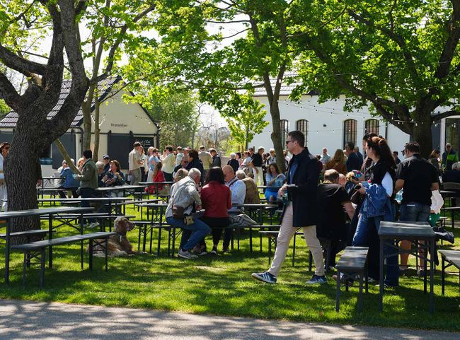 Im Garten des Bio-Landguts Esterhazy