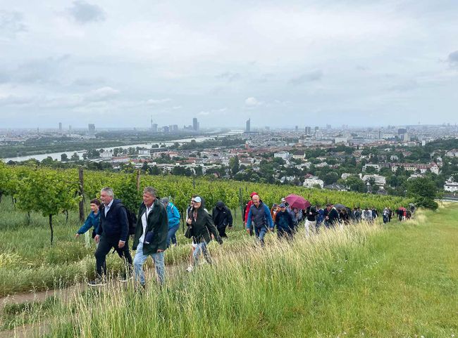 © Gault&Millau/Degen Blick vom Nussberg über Wien