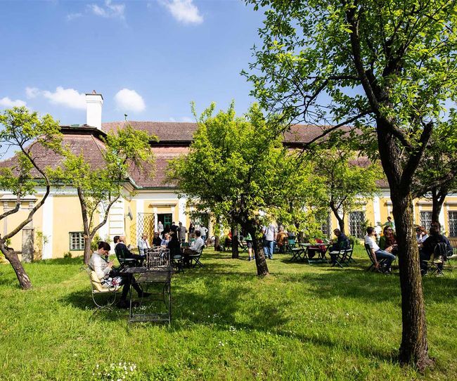 © Schloss Gobelsburg Gemütliches Verkosten im Schlossgarten