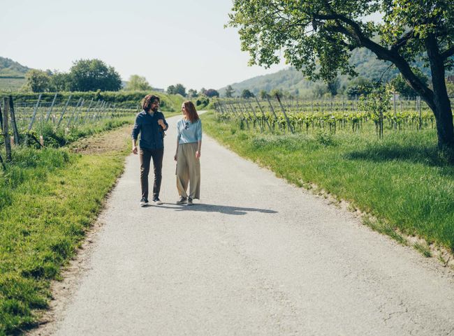 © Ian Ehm Auszeit in Niederösterreichs Weinregionen