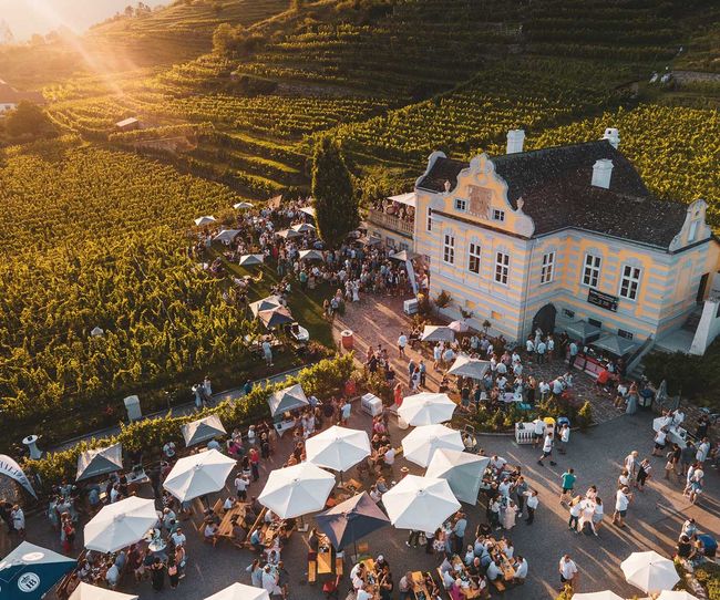 © Domäne Wachau Am Kellerschlössel-Platz wird verkostet und getanzt