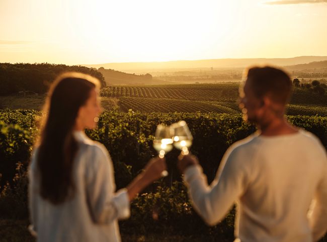 © Michael Reidinger Gutes Essen und guter Wein bei „Taste the Weinviertel"