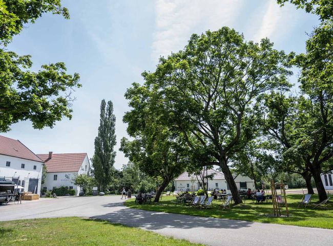 © Lisa Schulcz Das Bio-Landgut Esterhazy