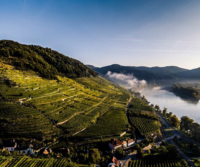 © ÖWM / Robert Herbst Eine der legendärsten Lagen des Landes: Ried Achleiten