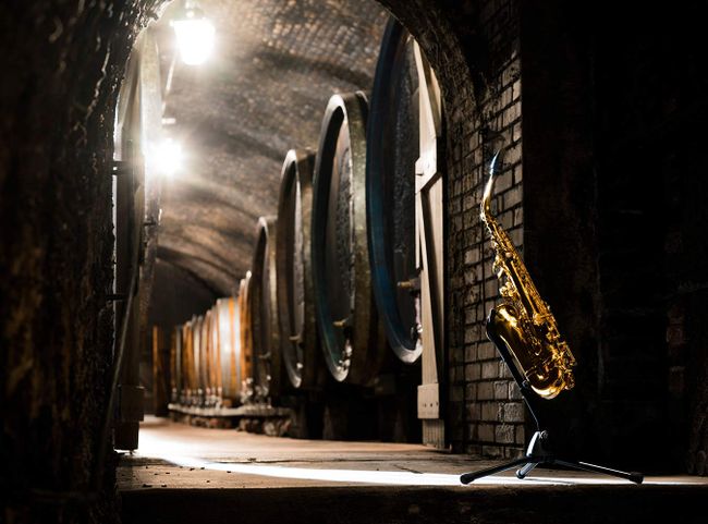 © Niederösterreich Werbung / Julius Hirtzberger Kulturgenuss am Weingut