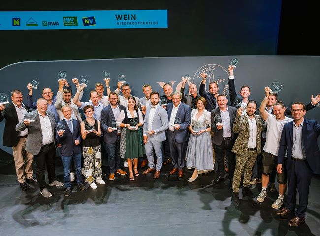 Die Landessieger:innen NÖ 2025