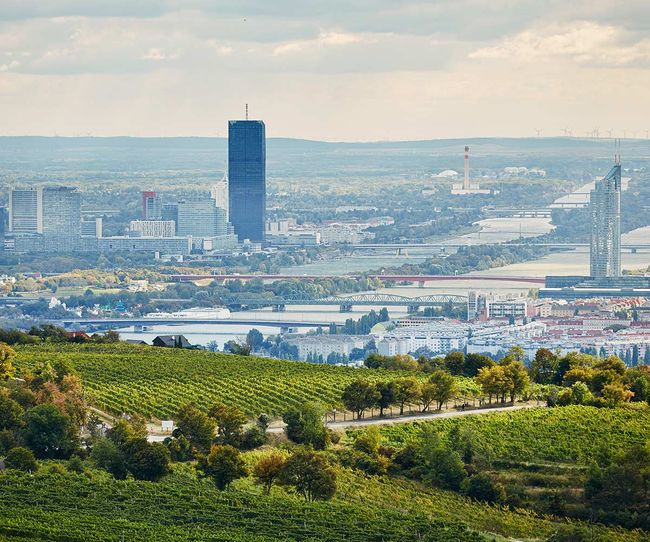 © Herbert Lehmann Blick auf Wien von der Ersten Lage Langteufel